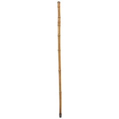 Antique French Bamboo Walking Stick with a Hidden Sword Inside by Erardi