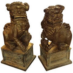 Pair of Temple Sized Wooden Fu-Lions