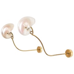 Vintage Nautilus Shell Mother-of-Pearl Sconces Wall Lights Brass, Italy, 1950 
