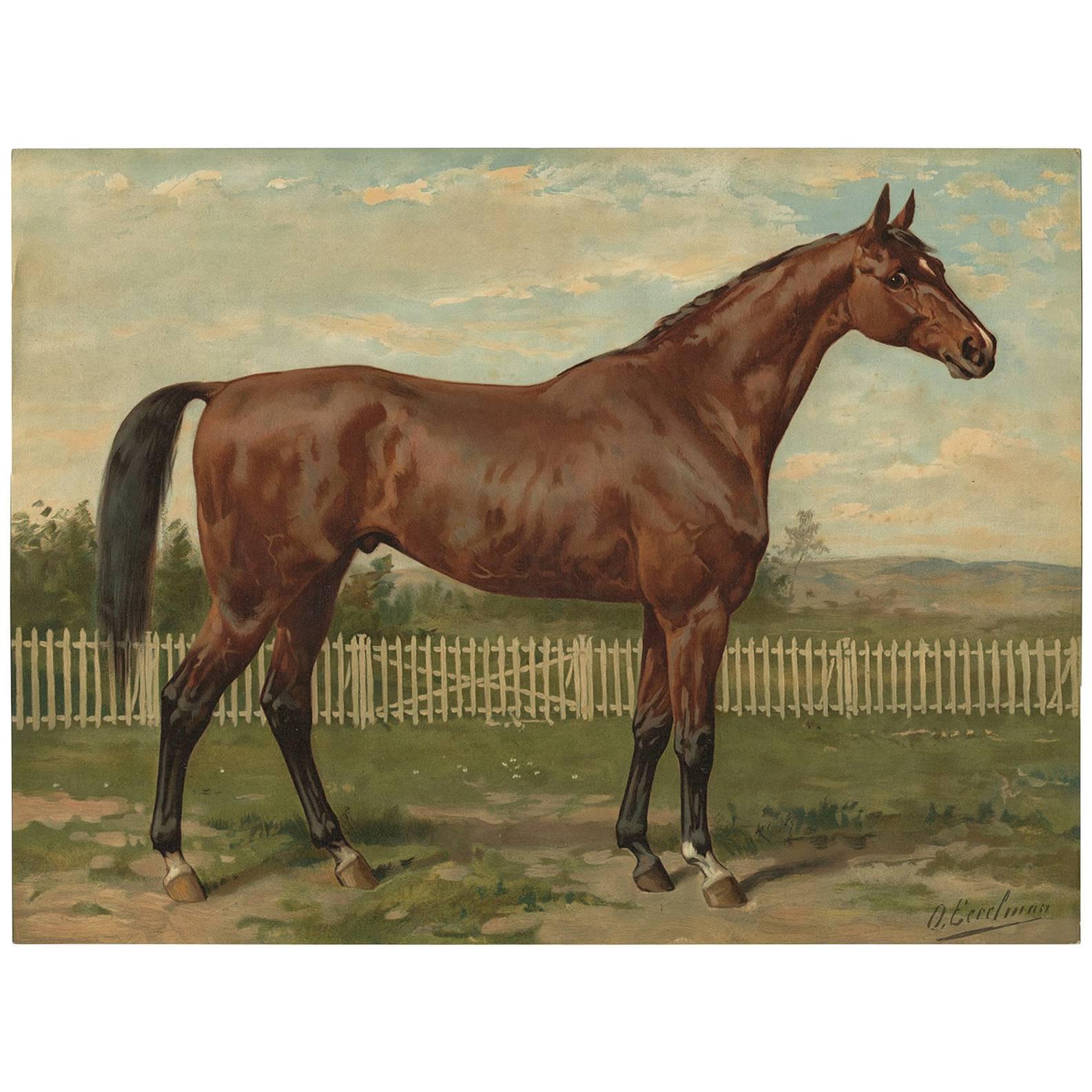 Antique Horse Print of an English Thoroughbred by O. Eerelman, 1898