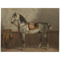 Antique Horse Print of a Lippizaner Horse by O. Eerelman, 1898