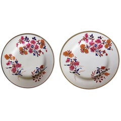 Pair of Worcester Flight Barr and Barr Plates Hand-Painted Flowers, circa 1825