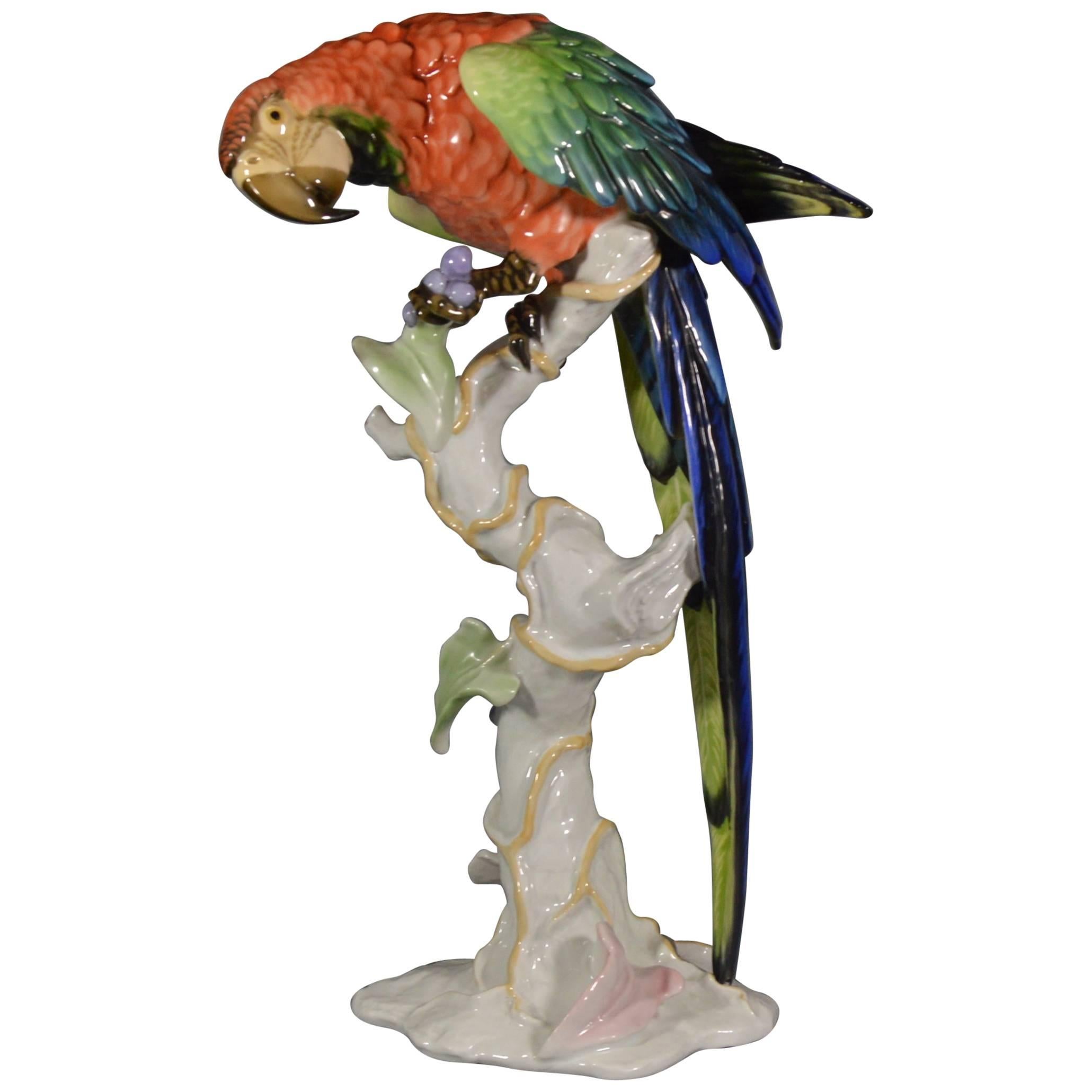 Large Ara Parrot Porcelain Figurine by Rosenthal Designed by F.Heidenreich, 1937