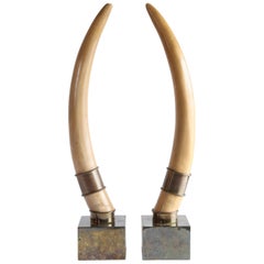 Pair of Midcentury Faux Tusks on Brass Bases