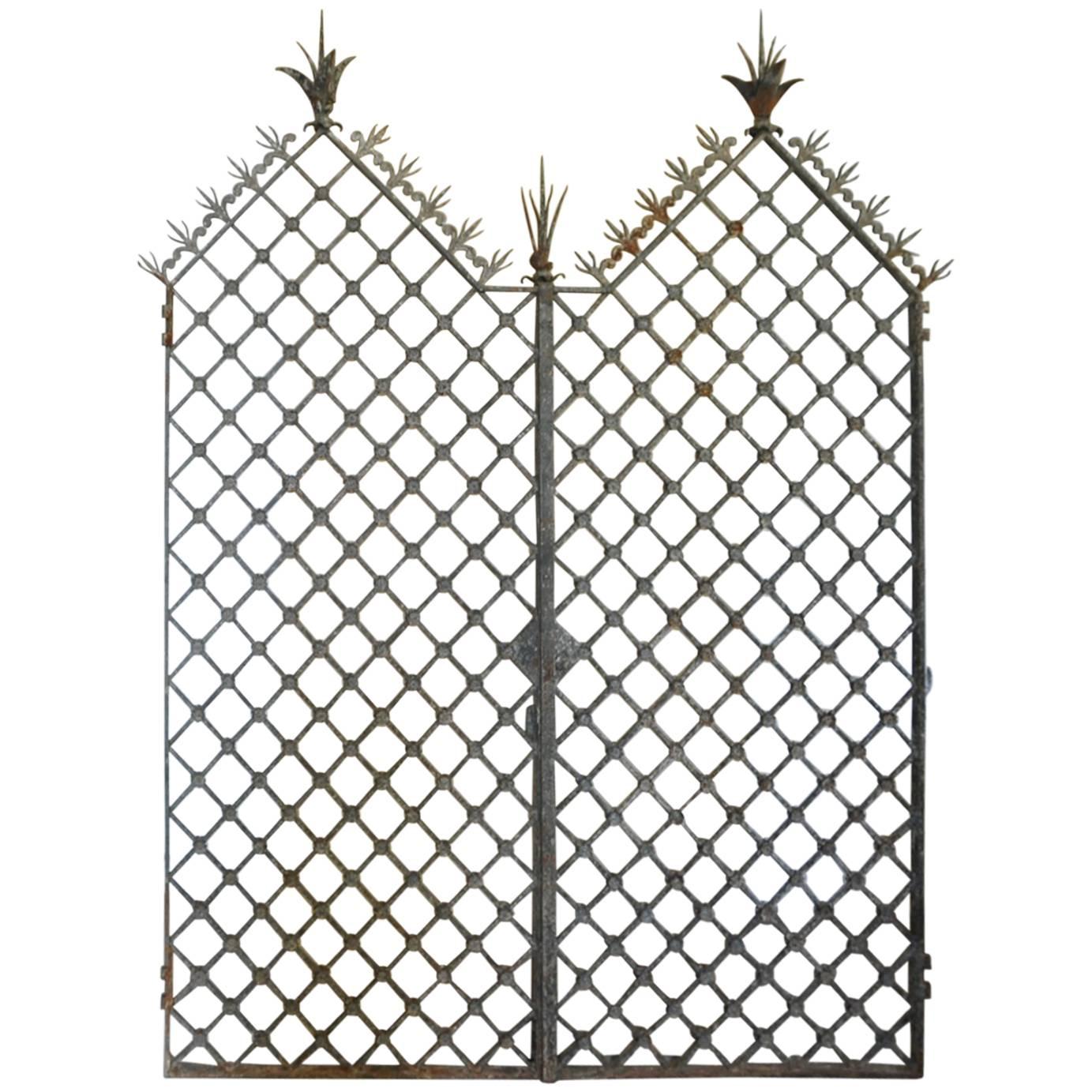 Pair of French 17th Century Iron Gates