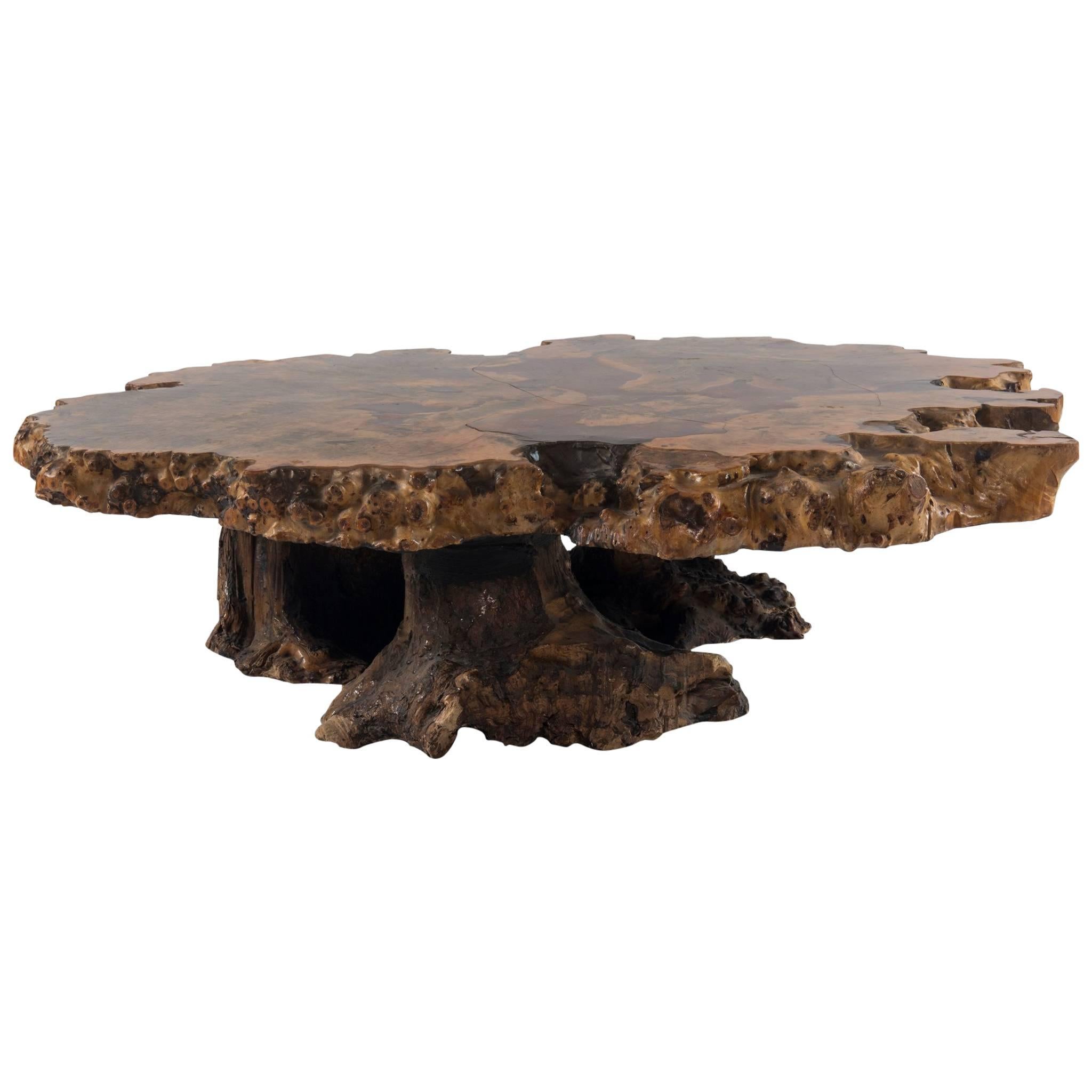 Original Star Dust Burl Elm Coffee Table