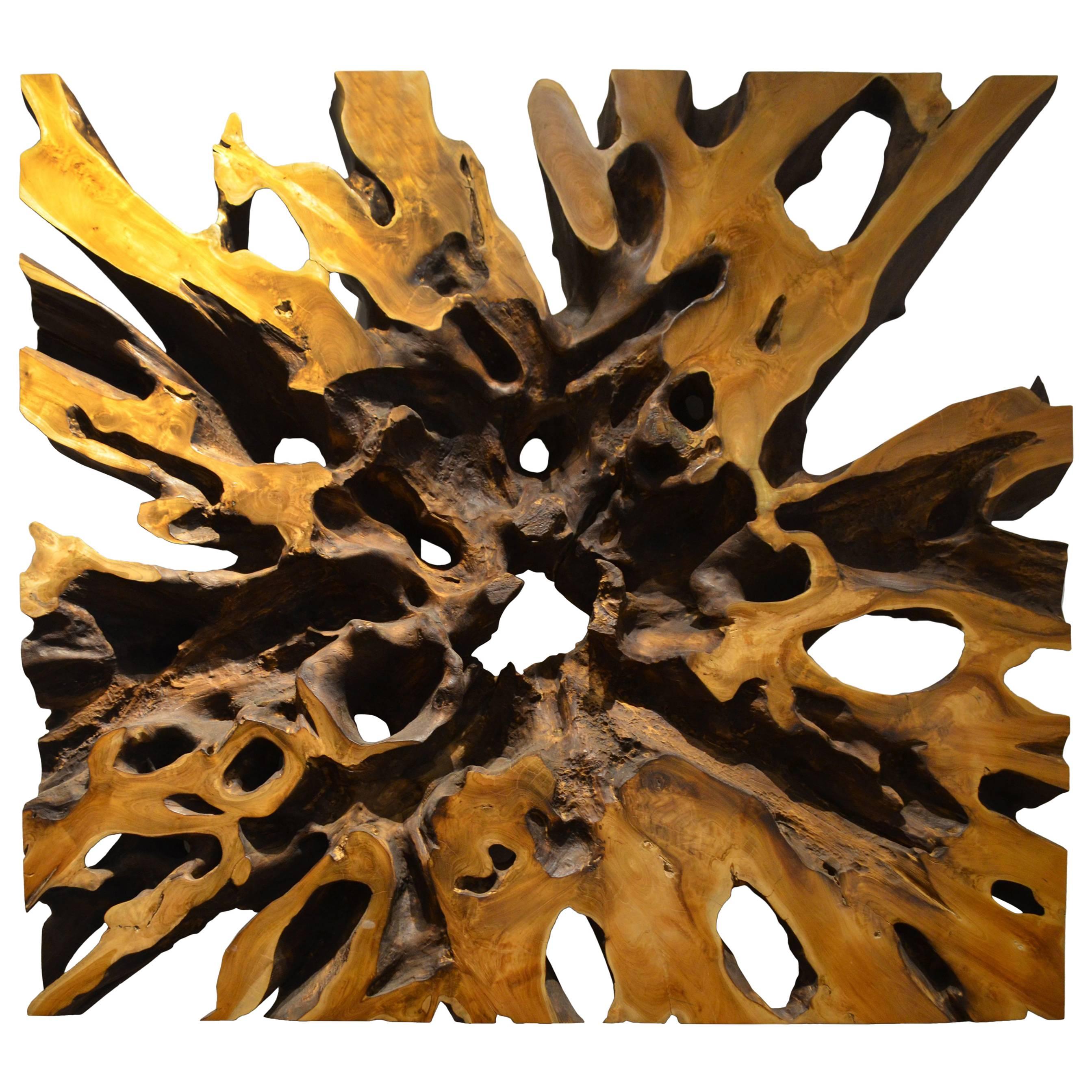 Andrianna Shamaris Impressive Teak Wood Root Art or Coffee Table