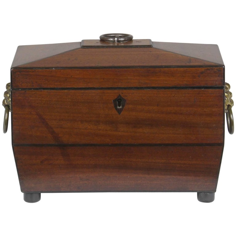Regency Sarcophagus Shaped Tea Chest at 1stDibs