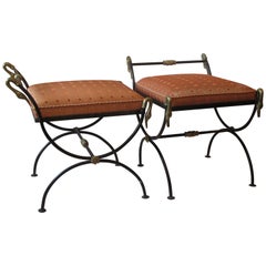 Pair of Neoclassical Curule Stool with Brass Swans 10