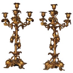 Mitte des 19. Jahrhunderts Paar französische vierflammige Kandelaber aus vergoldeter Bronze im Rokokostil