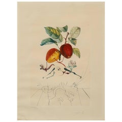 Salvador Dali Apple, Pomme Dragon, Eve's Apple, Dragon Apple