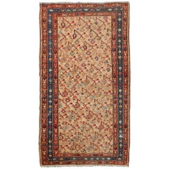 Antique N.W. Persian Malayer Rug with Free-Flowing All-Over Pattern, Sand Field