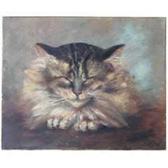 Antique Oil on Canvas Portrait of a Maine Coon Tabby Cat Dated to 1916 from Rokeby Park