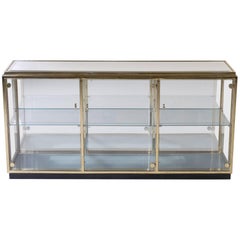 Regency Brass Mirrored Display Case