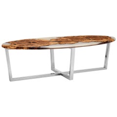 Contemporary Oval Coffee Table in Oak Burr and Resin Cast on a Chrome Base