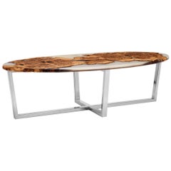 Contemporary Oval Coffee Table in Oak Burr and Resin Cast on a Chrome Base