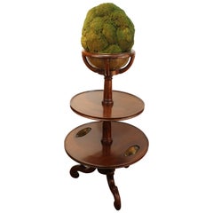 Antique Etagere with Faux Topiary 