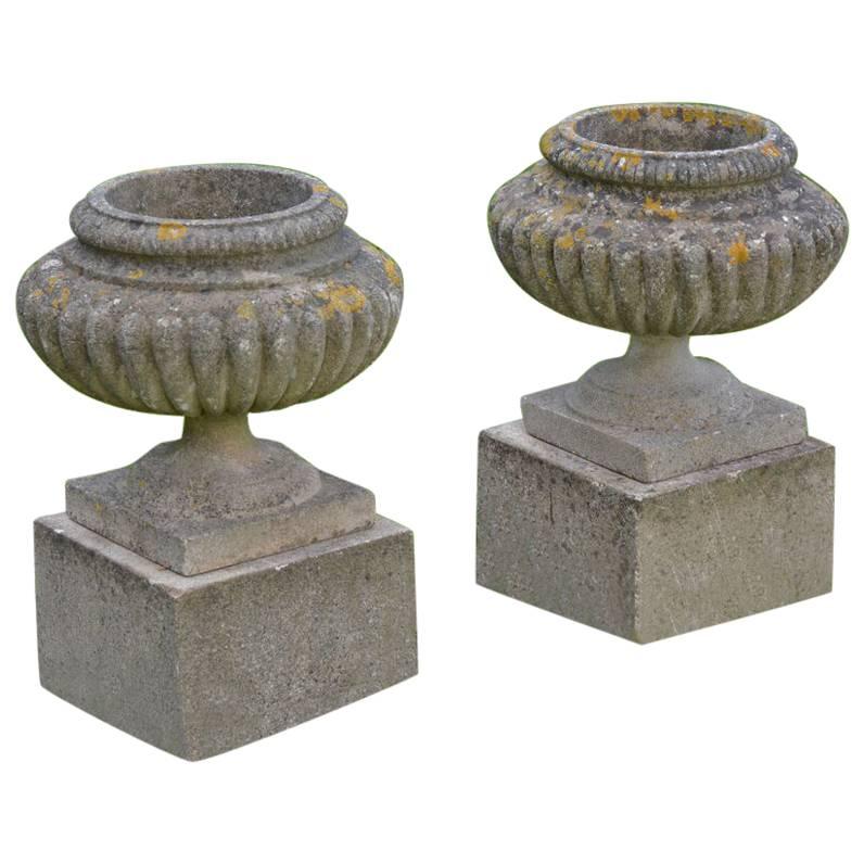 English Stone Urns on Bases