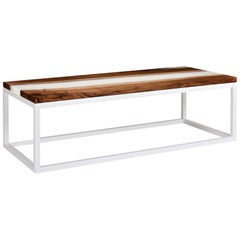 Contemporary Coffee Table with Walnut Top and Resin on Powder Coated Steel Base