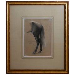 Drawing of Horse