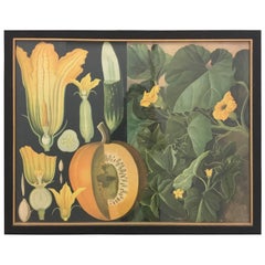 Vintage Floral French School Poster