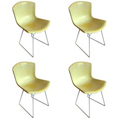 Set of Four Harry Bertoia Canary Yellow "Shell" Chairs for Knoll, Early 1960s