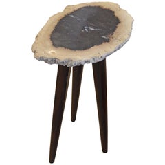 Andrianna Shamaris Palm Petrified Wood Side Table