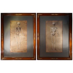 Antique Spectacular and Rare Pair of Watercolor Paintings Representing a Skeleton