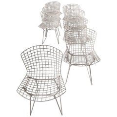 White Knoll Bertoia Chairs