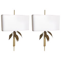 Gilt Gold Sconces in the Style of Maison Jansen with Leaf Motif, circa 1950
