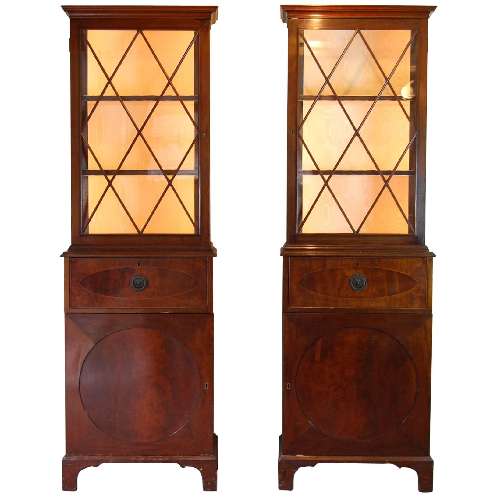Pair of George III Style Mahogany Collection Cabinets For Sale