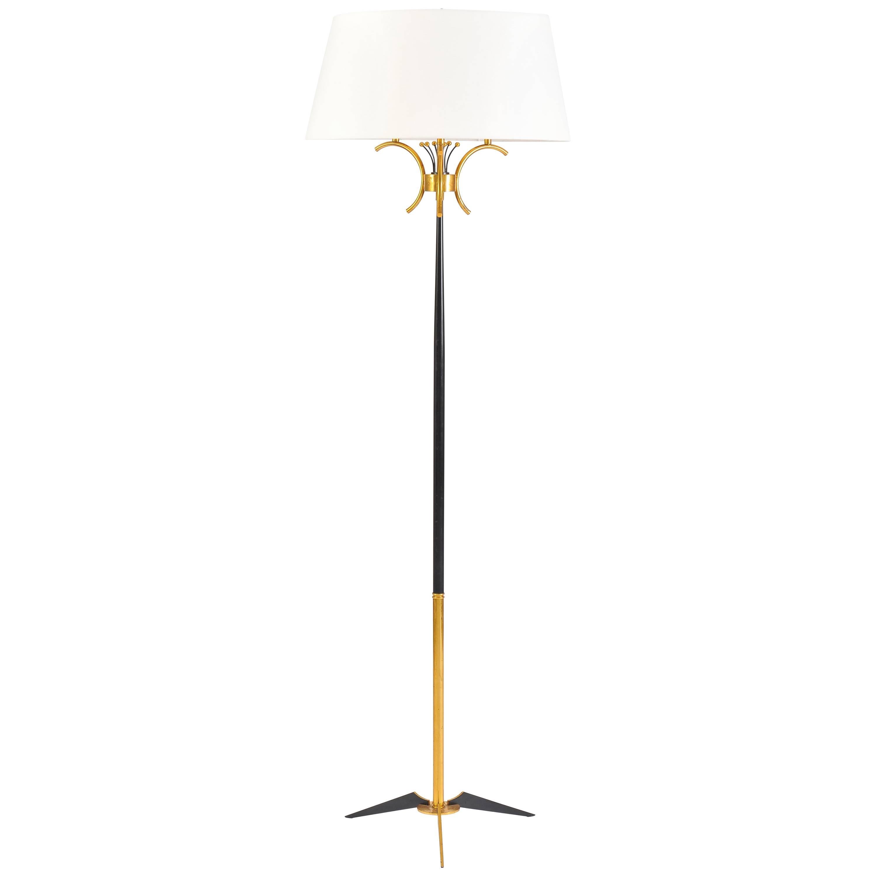 French 1950s Brass and Black Floor Lamp