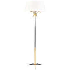 French 1950s Brass and Black Floor Lamp