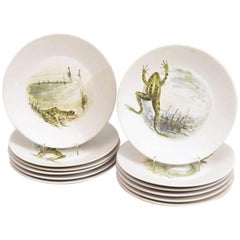 Vintage 12 French Hand-Painted Frog Plates by Marcel Guillot