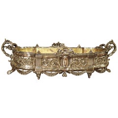 Late 1800s Silvered Bronze Jardinière from France