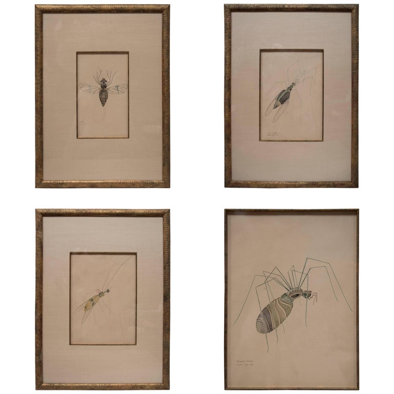 WALTER SPIES Insect Watercolour Paintings [Set of 4] For Sale