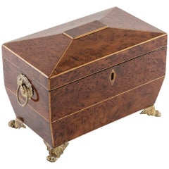 Antique French Directoire Period Thuya Wood Tea Box with Lemonwood Inlay and Bronze Feet