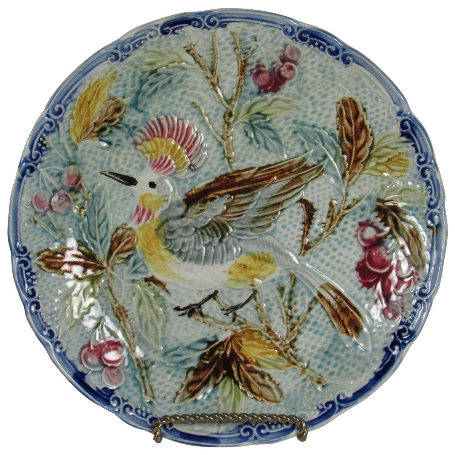 Early Majolica Exotic Bird Plate For Sale
