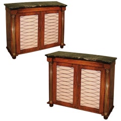 Regency period rosewood 2-door chiffoniers