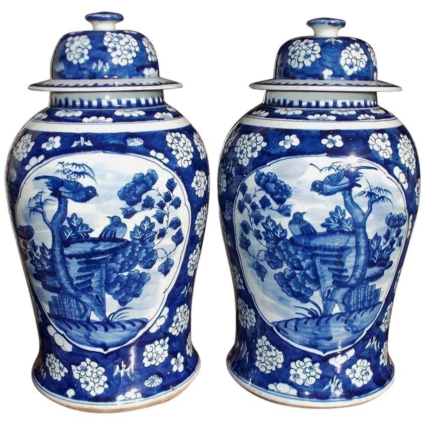 Pair of Chinese Porcelain Glazed Temple Jars with Lids, 20th Century