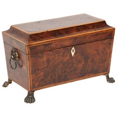 English Georgian Period Burwood Tea Caddy