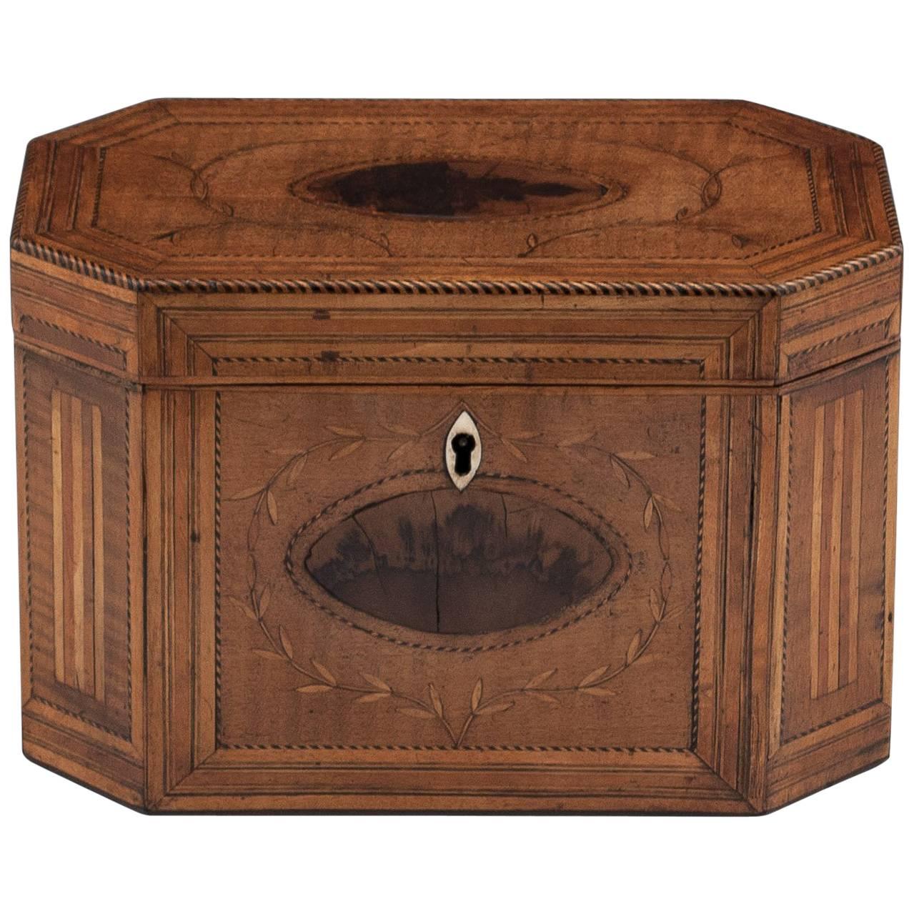 Antique Georgian Harewood Tea Caddy with Blackthorn Oysters, 18th Century