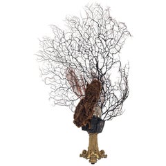 Baroque Nautical Objects