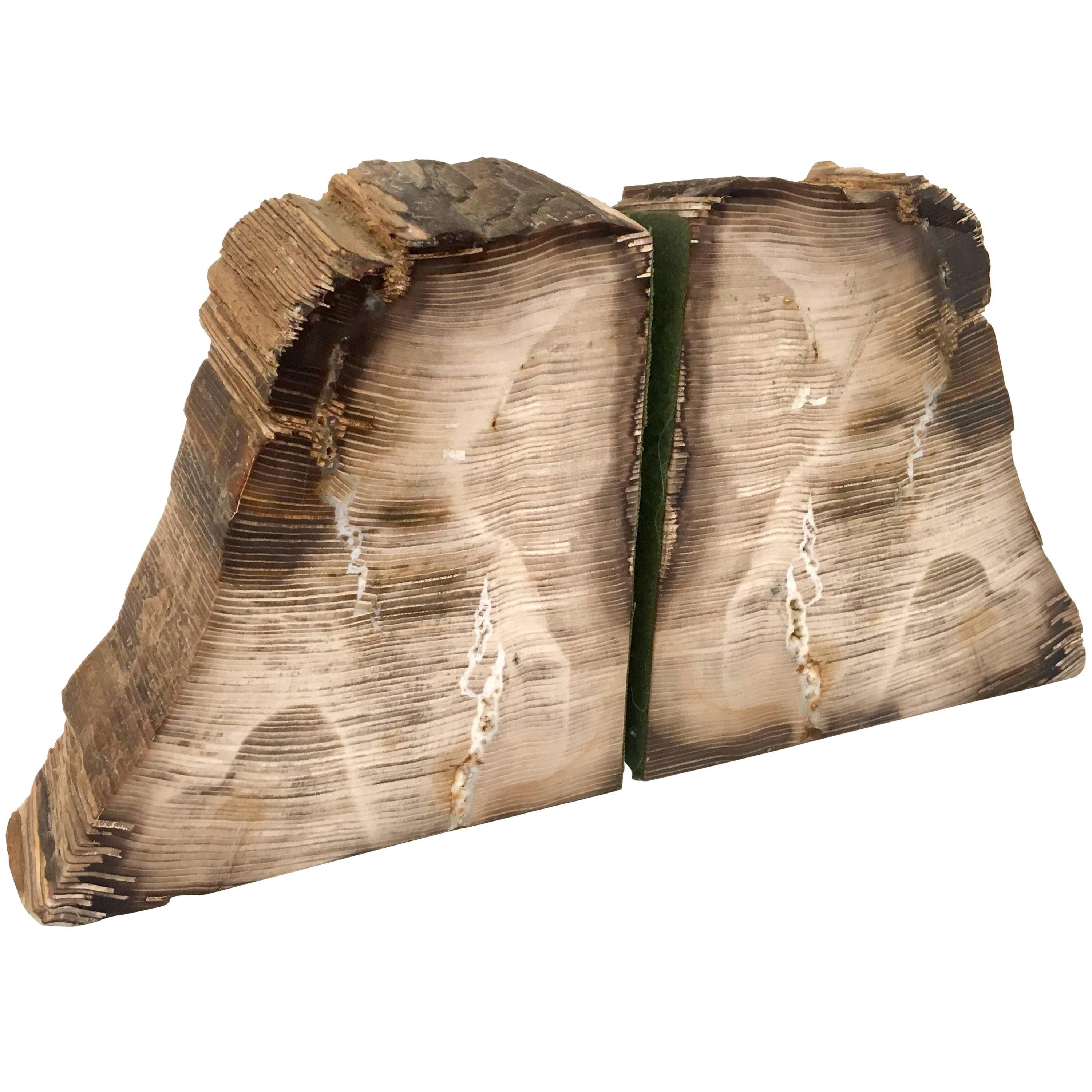 Pair of 1950s Petrified Wood Bookends