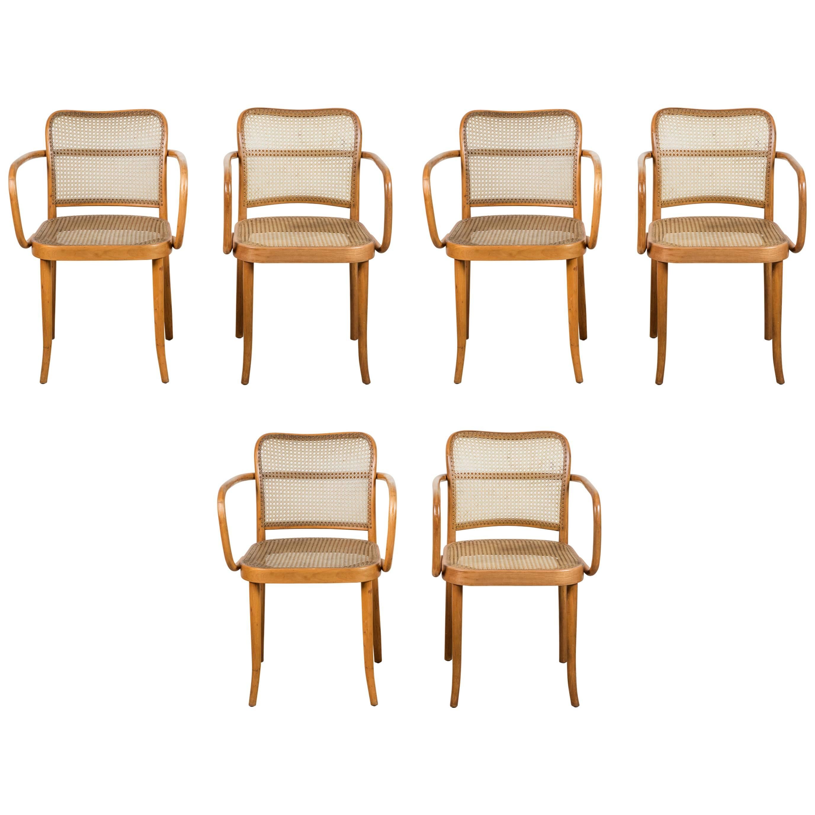 Set of Six Bentwood Armchairs by Josef Hoffman for Stendig