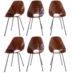 Medea Chairs by Vittorio Nobili for Fratelli Tagliabue, Set of Six Rosewood