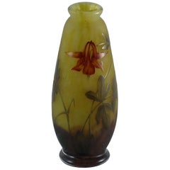 Art Nouveau Daum Acid Etched and Enamelled Cameo Glass Vase