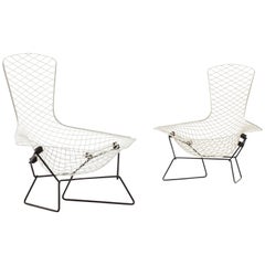 Vintage Harry Bertoia Bird Chairs for Knoll International, 1952