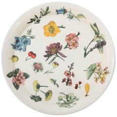 Piero Fornasetti metal tray with flora on a white background, Italy, circa 1950