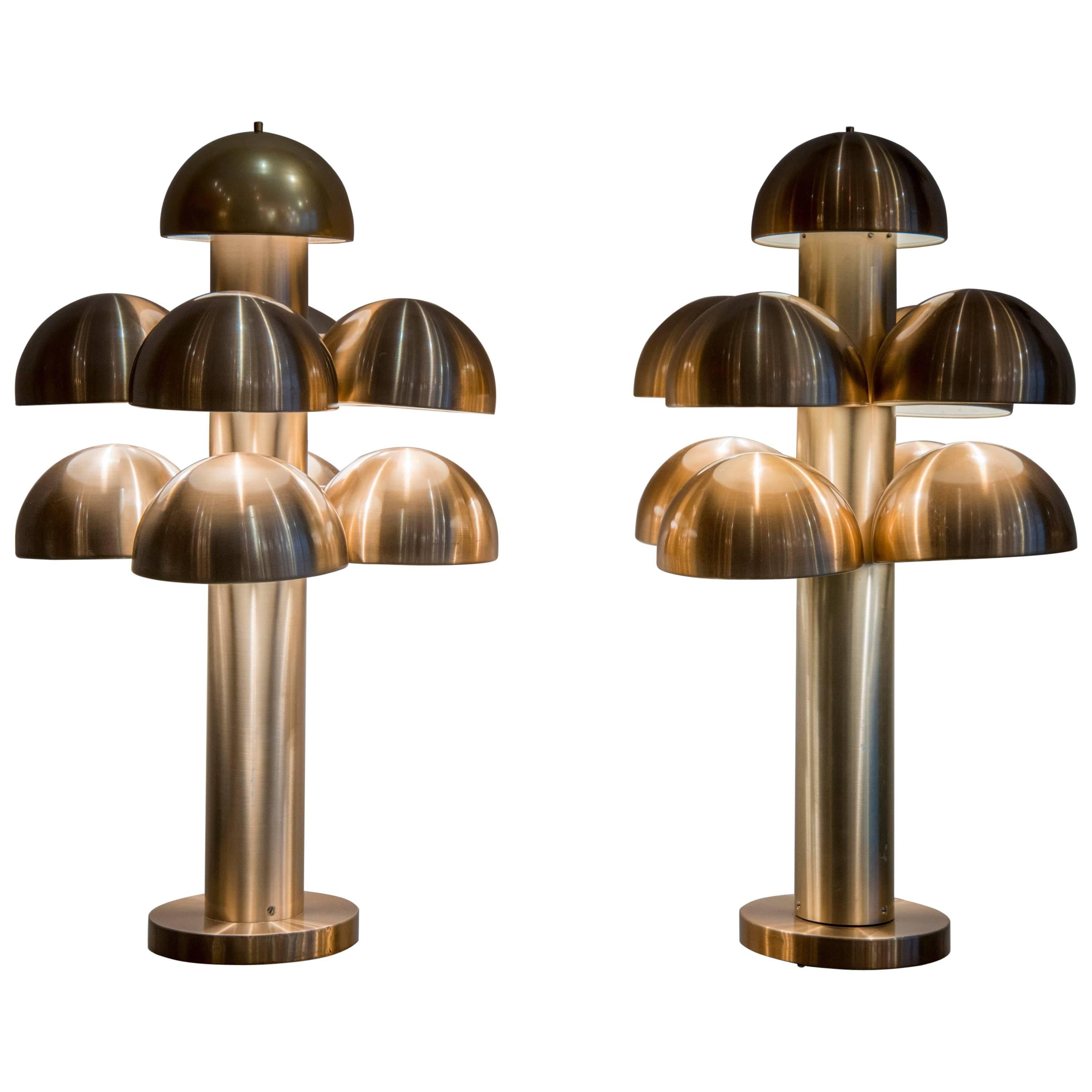 Pair of "Cantharelle" Table Lamps by RAAK